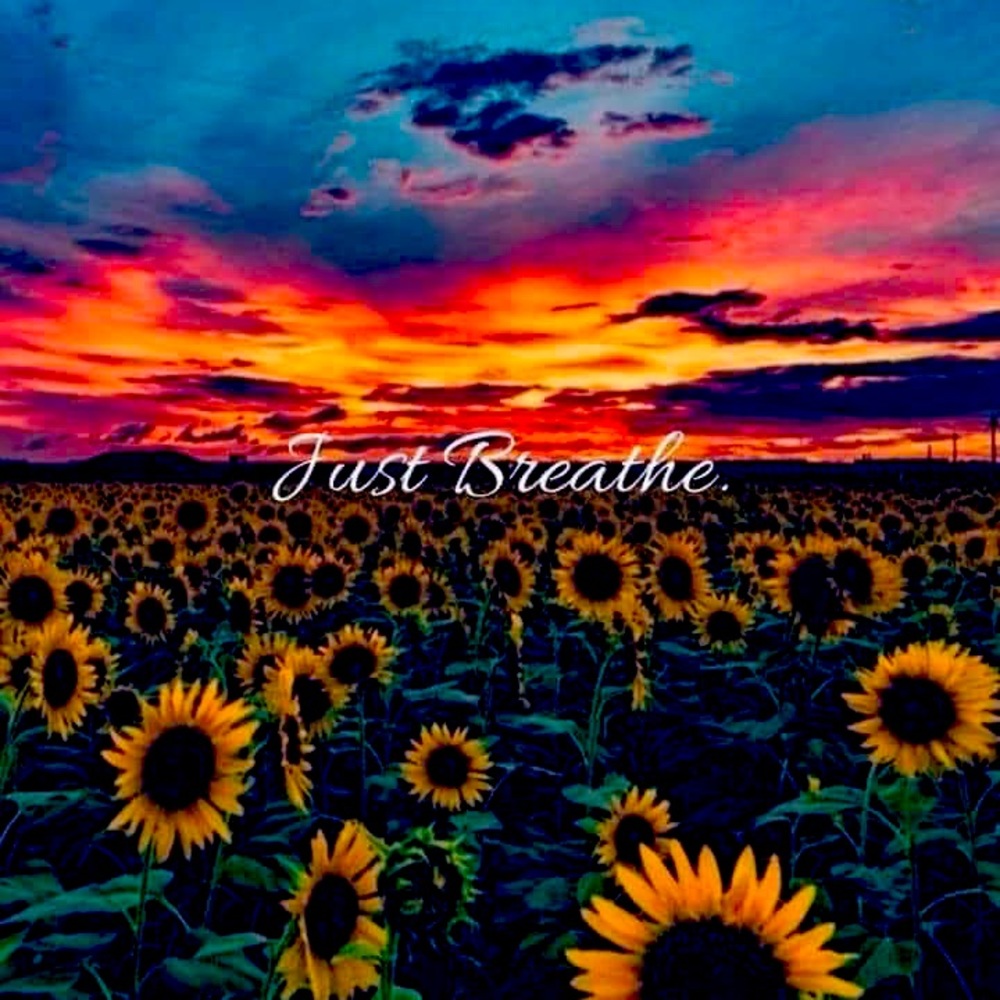 🌞🌻🧴🩱⛱